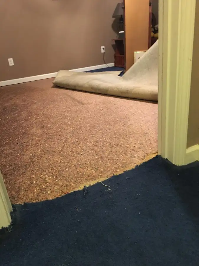 Carpet pad removal revealing water damage during Water Mitigation Services in LaFayette