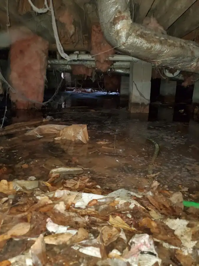 Crawl space flood assessment for Leak Detection & Repair in LaFayette